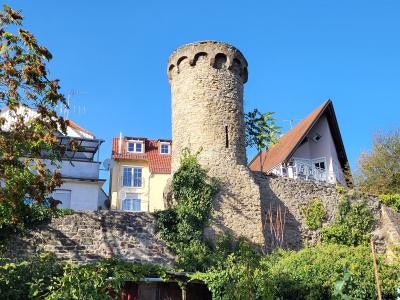 Sauermillichhaffe mit Stadtmauer.