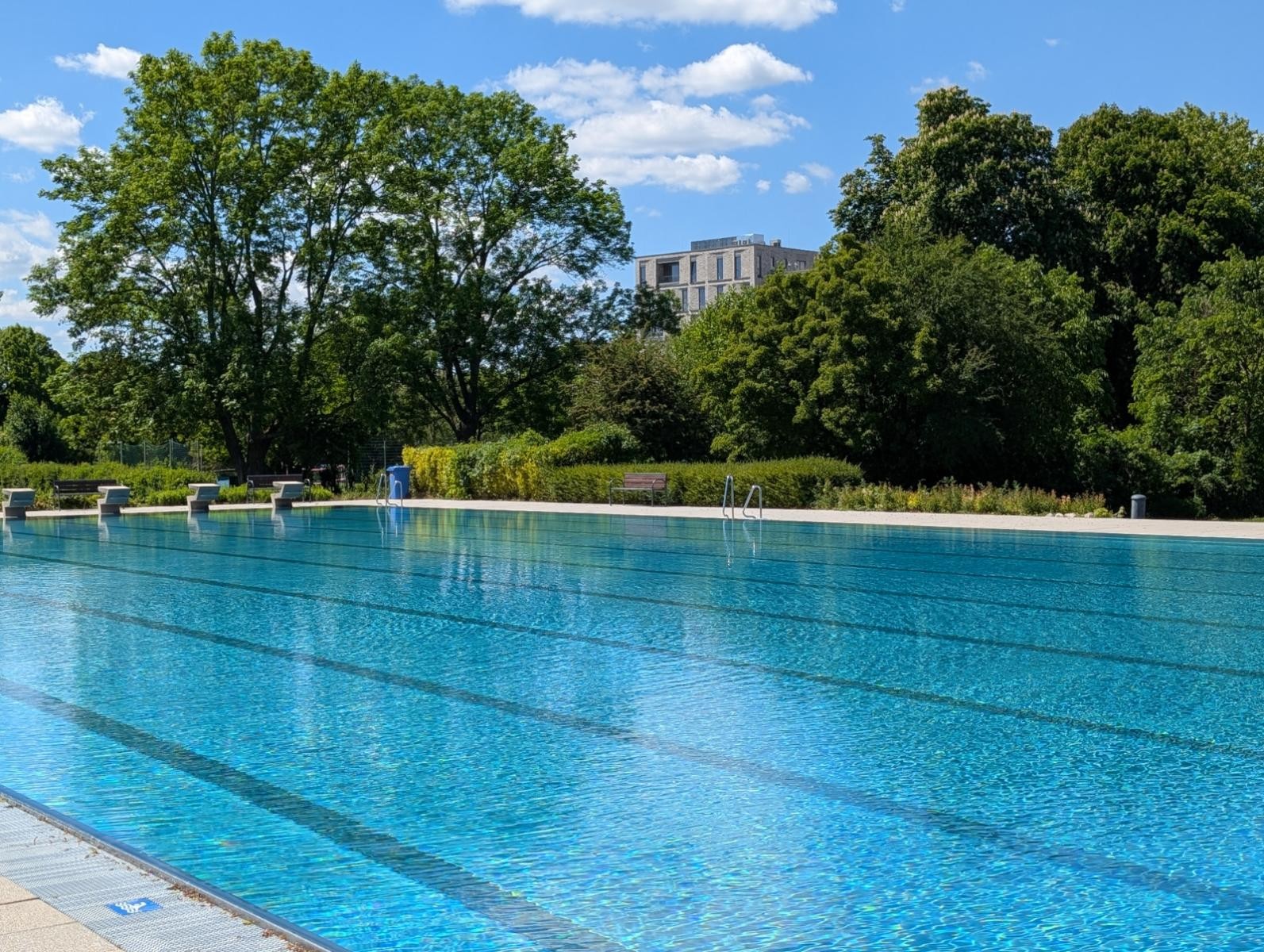 Das nicht-beheizte Olympiabecken lädt zum Schwimmen ein.