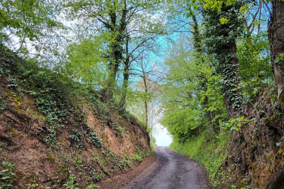 bergbau12_2024_rfritz