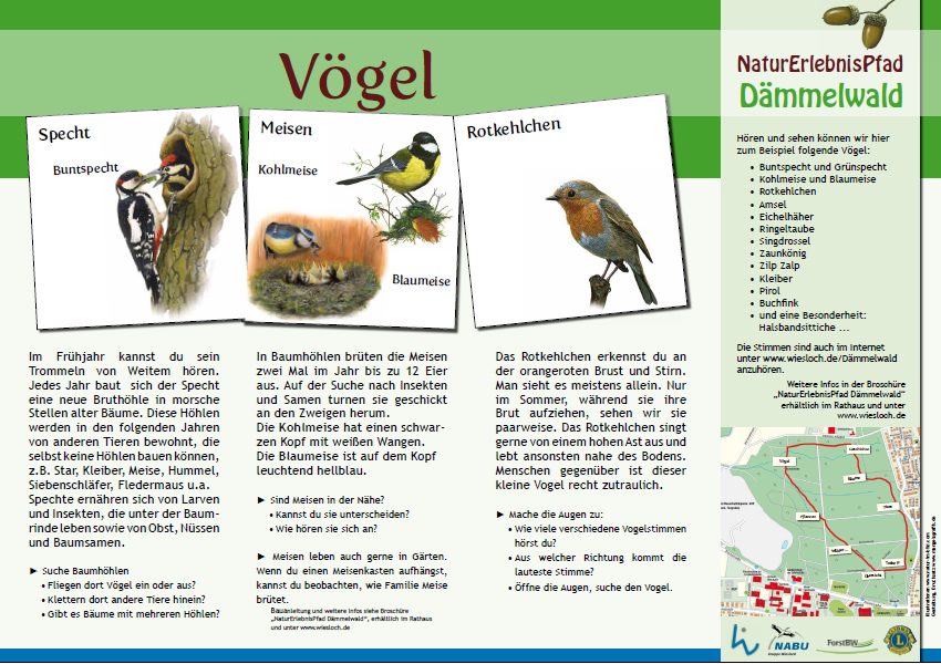 wald6_voegel