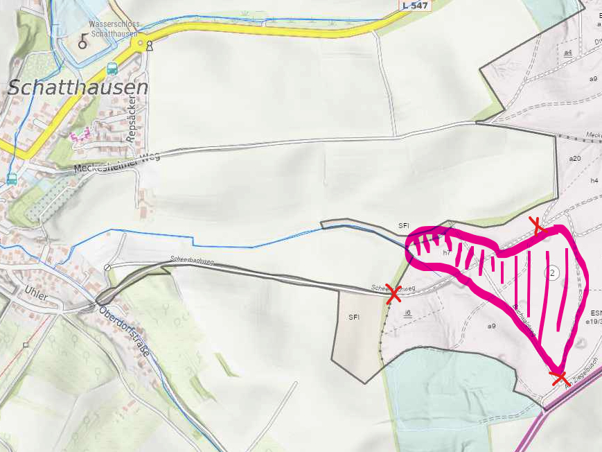 Übersichtskarte mit Bereich der Holzerntearbeiten auf Schatthäuser Gemarkung.