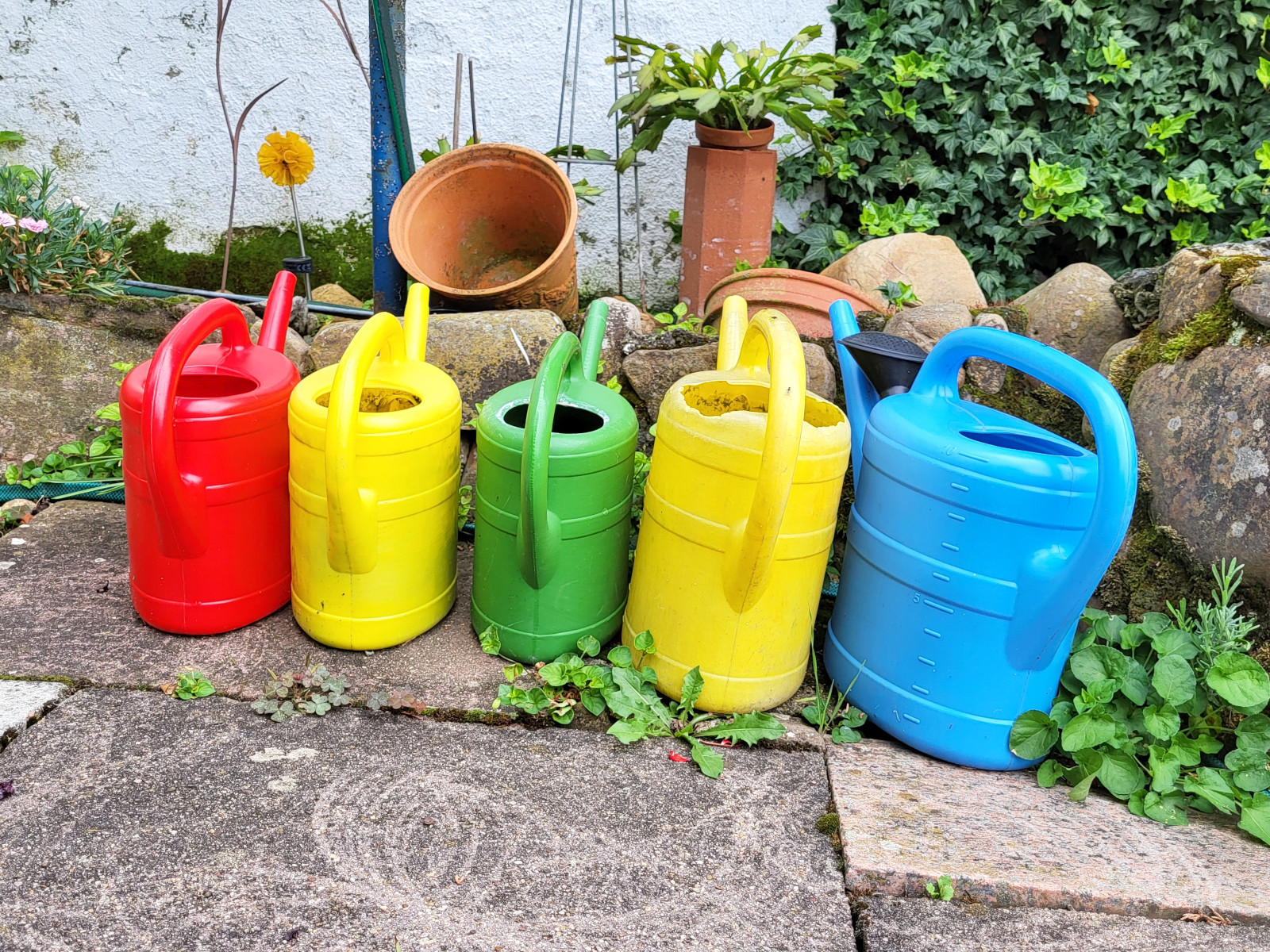 Bunte Gießkannen stehen bereit zum Gießen mit Regenwasser.