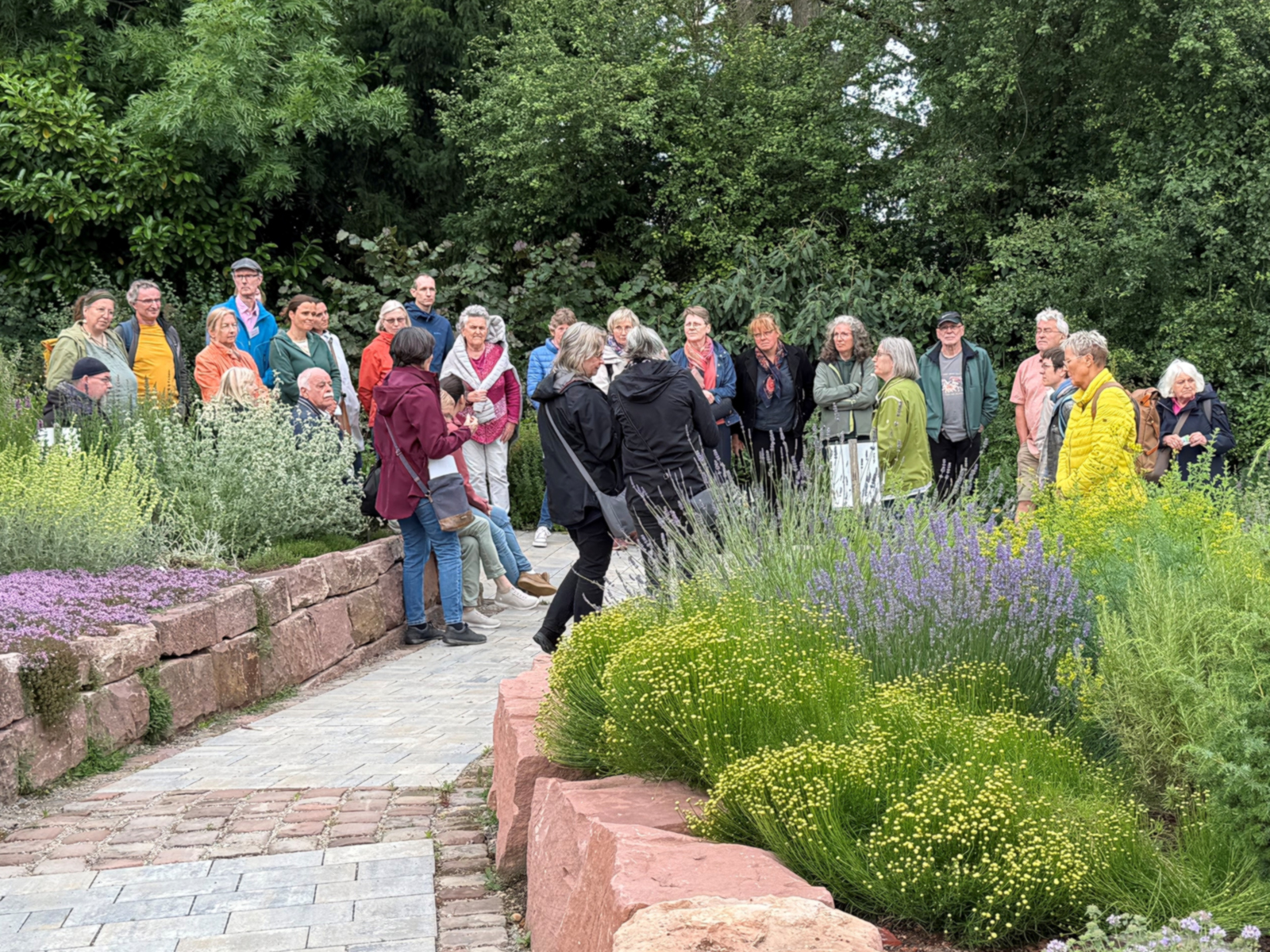 Teilnehmende hören den Erläuterungen zum Internationalen Kräutergarten zu.