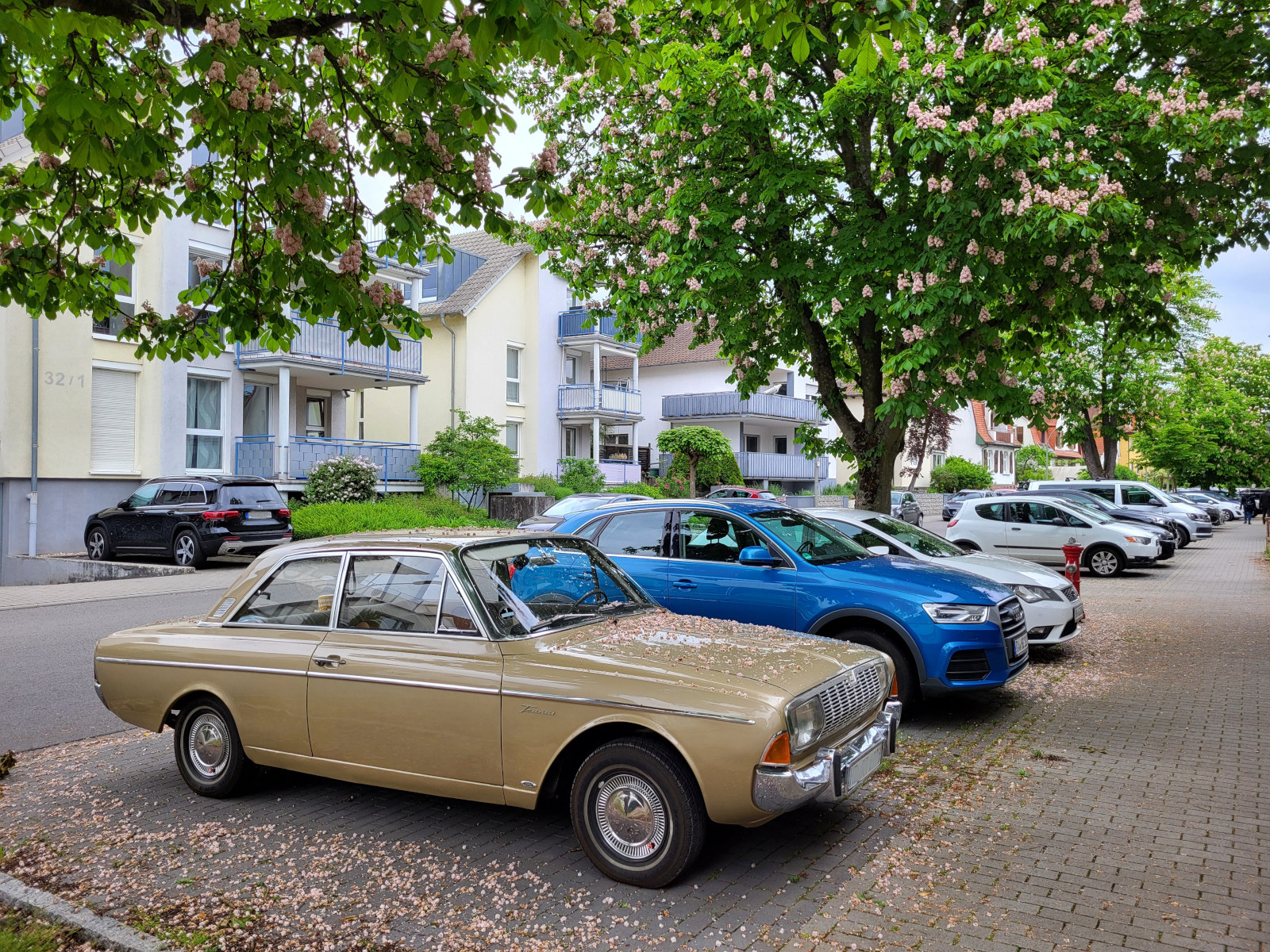 Parkende Autos unter Kastanienbäumen.