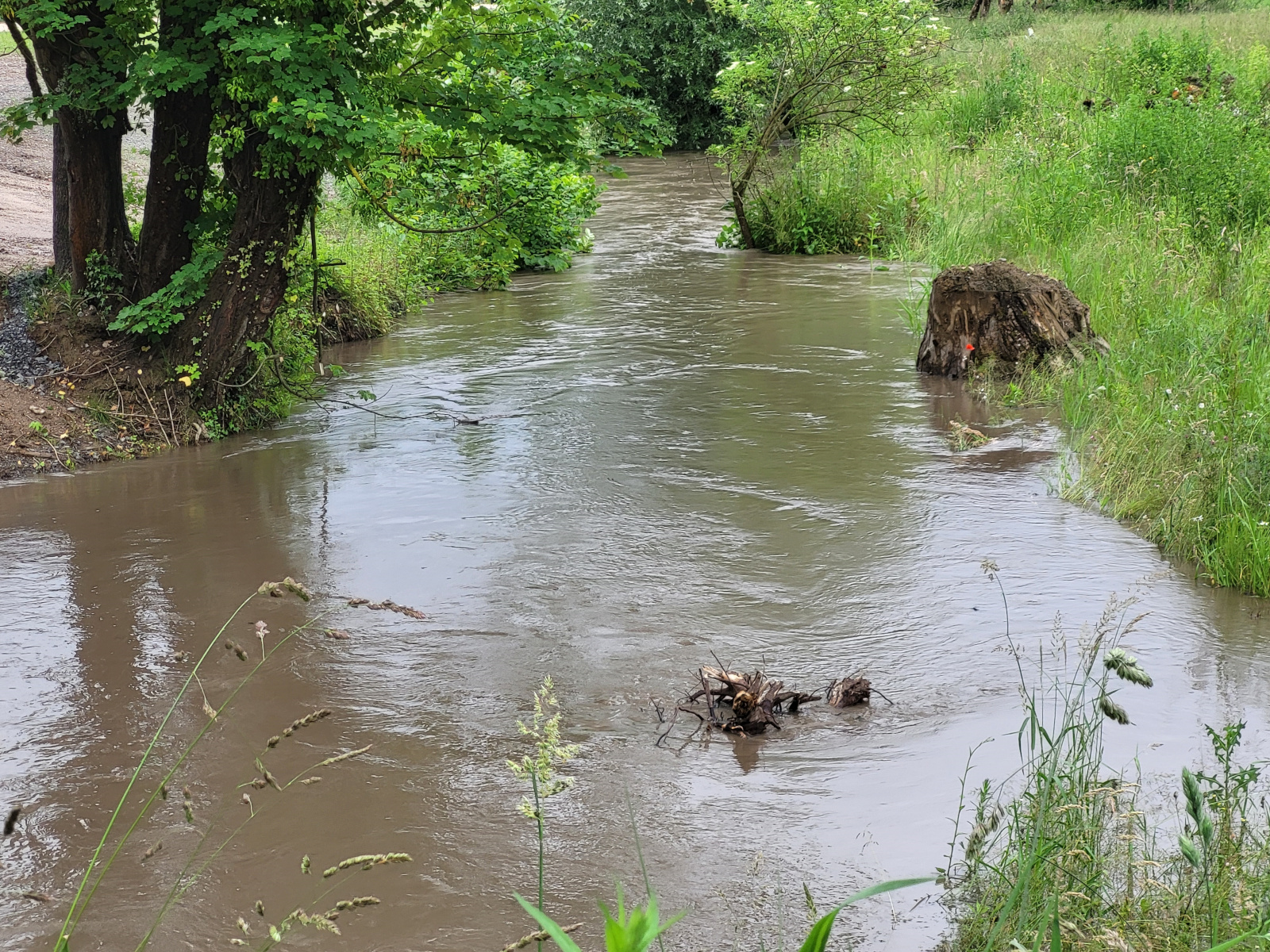 Voller Leimbach in Altwiesloch, unterhalb dem neuen Hochwasserrückhaltebecken.
