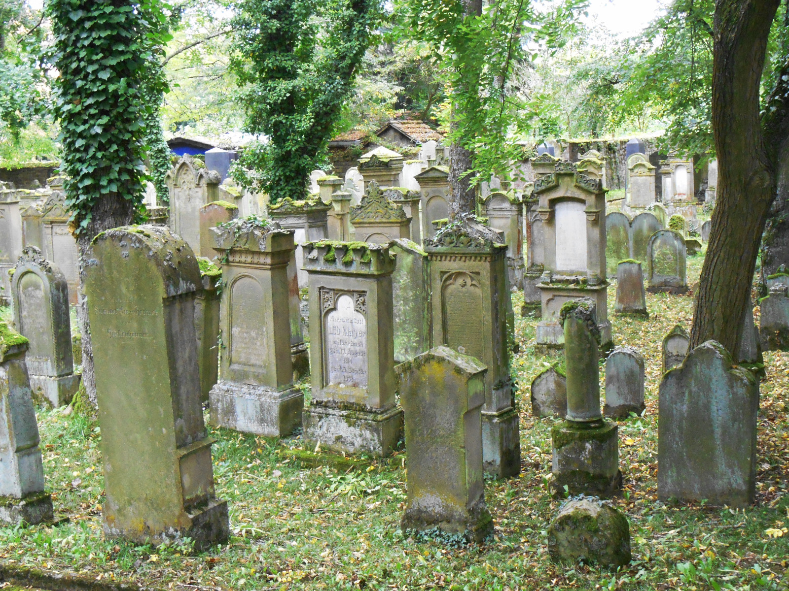 Grabsteine auf dem jüdischen Friedhof.