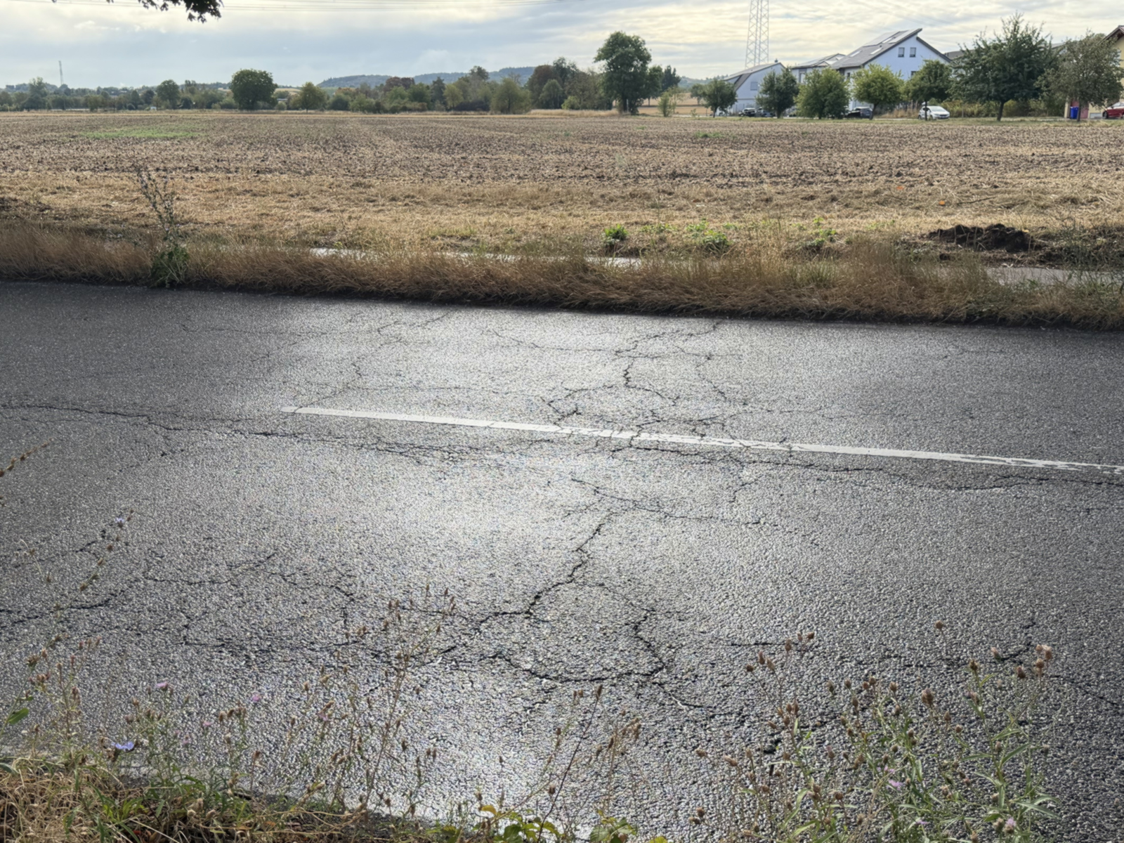 Zahlreiche Risse im Asphalt der Alten Bruchsaler Straße.