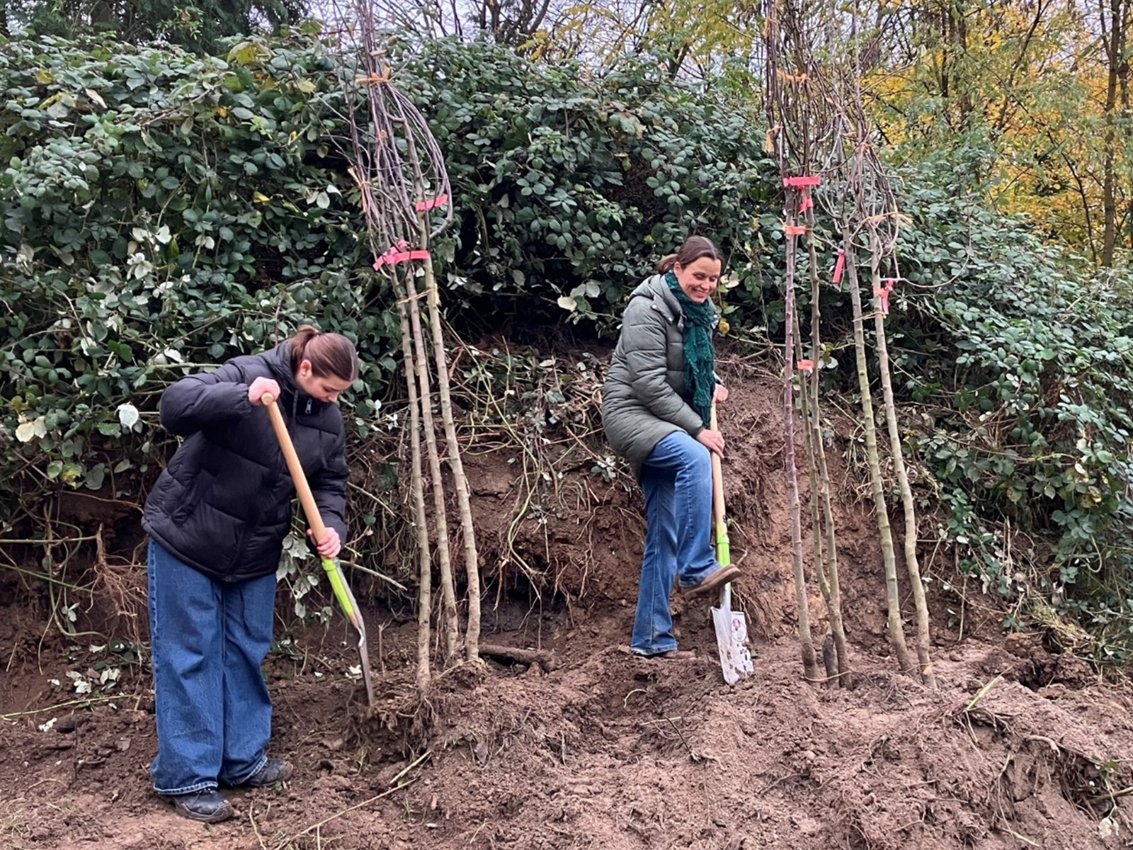 Ausgabe der Hochstämme durch FÖJlerin Kim Kief und Umweltbeauftragte Heike Lenz.